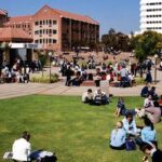 Industrial and Organisational Psychology Courses In South Africa